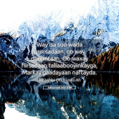 Picture 05 - Sabuurradii 56:6 SOM - Way isa soo wada urursadaan, oo way dhuuntaan, Oo - Bible Verse Picture