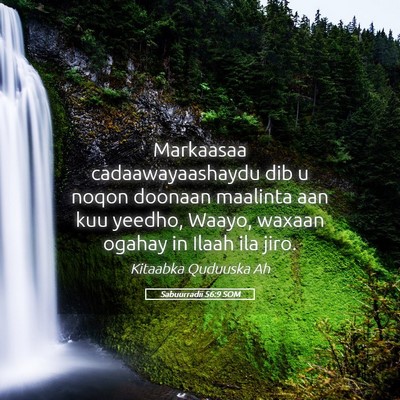 Picture 05 - Sabuurradii 56:9 SOM - Markaasaa cadaawayaashaydu dib u noqon doonaan - Bible Verse Picture