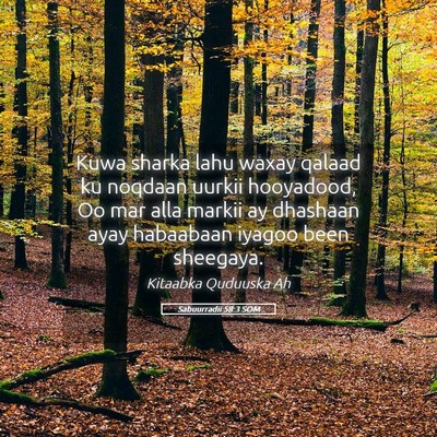 Picture 05 - Sabuurradii 58:3 SOM - Kuwa sharka lahu waxay qalaad ku noqdaan uurkii - Bible Verse Picture