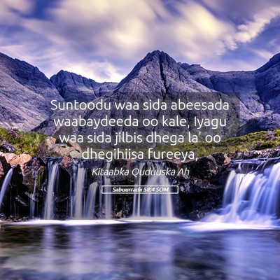 Picture 05 - Sabuurradii 58:4 SOM - Suntoodu waa sida abeesada waabaydeeda oo kale, - Bible Verse Picture
