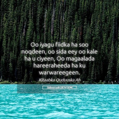 Picture 05 - Sabuurradii 59:14 SOM - Oo iyagu fiidka ha soo noqdeen, oo sida eey oo - Bible Verse Picture