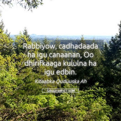 Picture 05 - Sabuurradii 6:1 SOM - Rabbiyow, cadhadaada ha igu canaanan, Oo - Bible Verse Picture