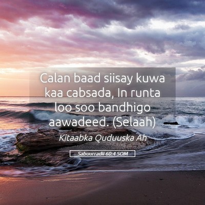 Picture 05 - Sabuurradii 60:4 SOM - Calan baad siisay kuwa kaa cabsada, In runta loo - Bible Verse Picture