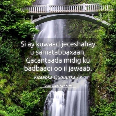 Picture 05 - Sabuurradii 60:5 SOM - Si ay kuwaad jeceshahay u samatabbaxaan, - Bible Verse Picture