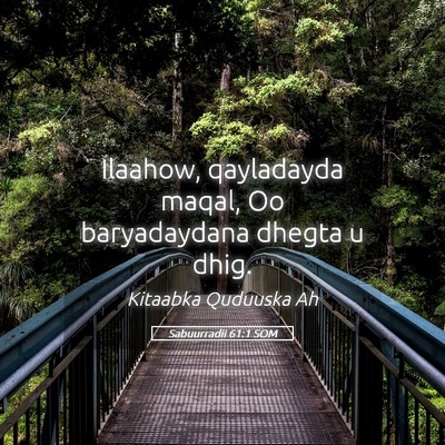 Picture 05 - Sabuurradii 61:1 SOM - Ilaahow, qayladayda maqal, Oo baryadaydana dhegta - Bible Verse Picture