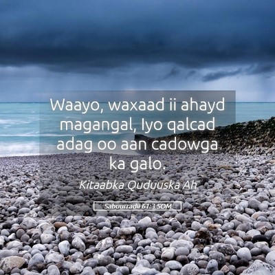 Picture 05 - Sabuurradii 61:3 SOM - Waayo, waxaad ii ahayd magangal, Iyo qalcad adag - Bible Verse Picture