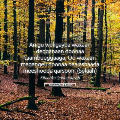 Picture 05 - Sabuurradii 61:4 SOM - Anigu weligayba waxaan degganaan doonaa - Bible Verse Picture