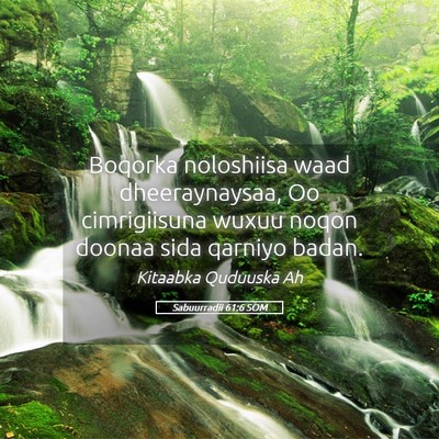 Picture 05 - Sabuurradii 61:6 SOM - Boqorka noloshiisa waad dheeraynaysaa, Oo - Bible Verse Picture