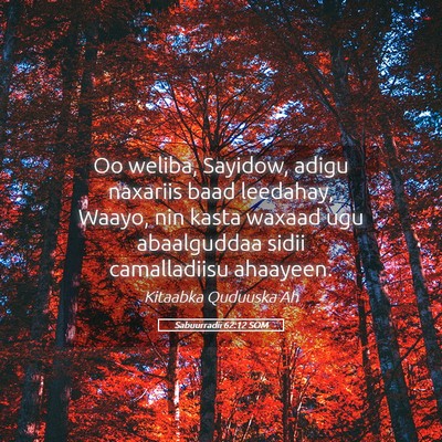 Picture 05 - Sabuurradii 62:12 SOM - Oo weliba, Sayidow, adigu naxariis baad leedahay, - Bible Verse Picture