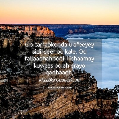 Picture 05 - Sabuurradii 64:3 SOM - Oo carrabkooda u afeeyey sidii seef oo kale, Oo - Bible Verse Picture