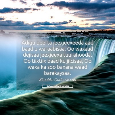 Picture 05 - Sabuurradii 65:10 SOM - Adigu beerta jeexjeexeeda aad baad u waraabisaa, - Bible Verse Picture