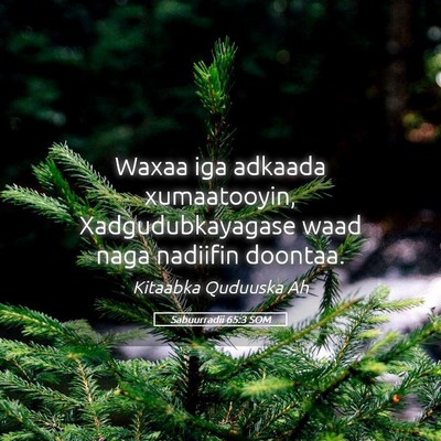 Picture 05 - Sabuurradii 65:3 SOM - Waxaa iga adkaada xumaatooyin, Xadgudubkayagase - Bible Verse Picture