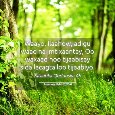 Picture 05 - Sabuurradii 66:10 SOM - Waayo, Ilaahow, adigu waad na imtixaantay, Oo - Bible Verse Picture
