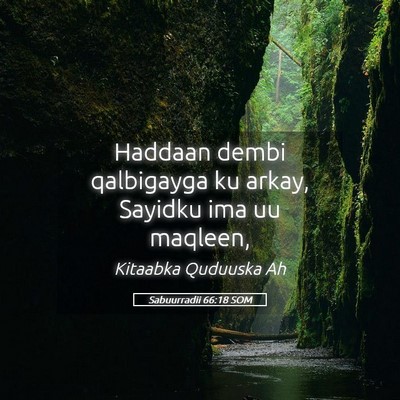 Picture 05 - Sabuurradii 66:18 SOM - Haddaan dembi qalbigayga ku arkay, Sayidku ima uu - Bible Verse Picture