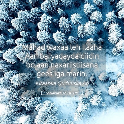 Picture 05 - Sabuurradii 66:20 SOM - Mahad waxaa leh Ilaaha Aan baryadayda diidin oo - Bible Verse Picture