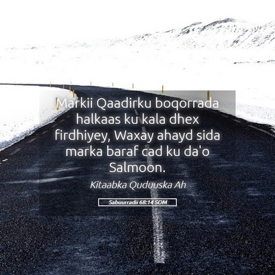 Picture 05 - Sabuurradii 68:14 SOM - Markii Qaadirku boqorrada halkaas ku kala dhex - Bible Verse Picture