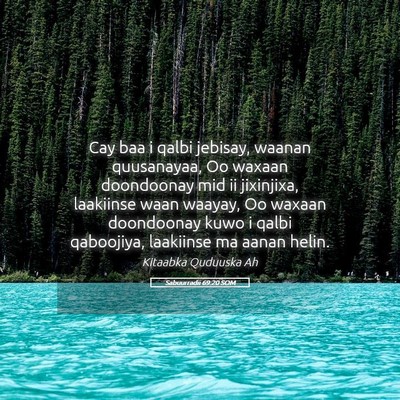 Picture 05 - Sabuurradii 69:20 SOM - Cay baa i qalbi jebisay, waanan quusanayaa, Oo - Bible Verse Picture