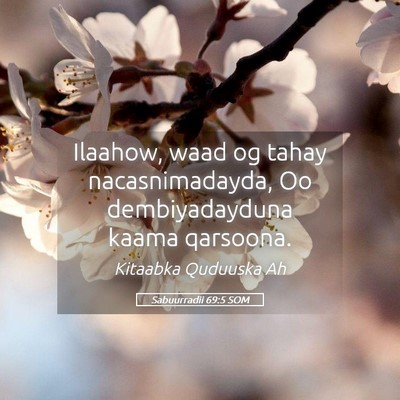 Picture 05 - Sabuurradii 69:5 SOM - Ilaahow, waad og tahay nacasnimadayda, Oo - Bible Verse Picture