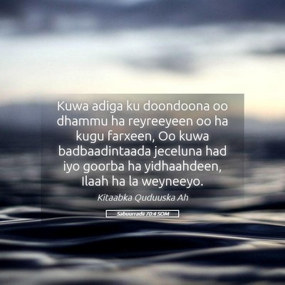 Picture 05 - Sabuurradii 70:4 SOM - Kuwa adiga ku doondoona oo dhammu ha reyreeyeen - Bible Verse Picture
