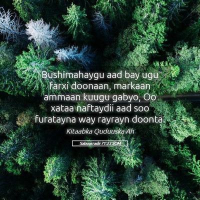 Picture 05 - Sabuurradii 71:23 SOM - Bushimahaygu aad bay ugu farxi doonaan, markaan - Bible Verse Picture