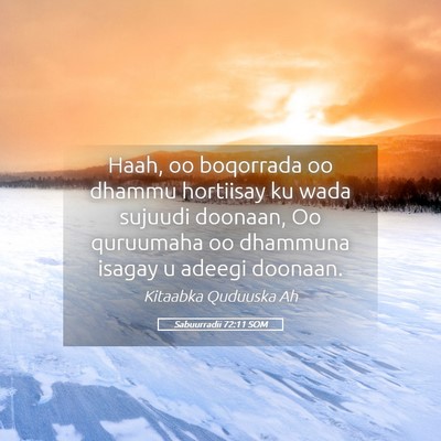 Picture 05 - Sabuurradii 72:11 SOM - Haah, oo boqorrada oo dhammu hortiisay ku wada - Bible Verse Picture