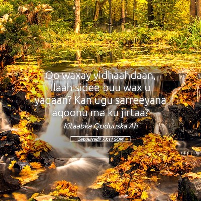 Picture 05 - Sabuurradii 73:11 SOM - Oo waxay yidhaahdaan, Ilaah sidee buu wax u - Bible Verse Picture