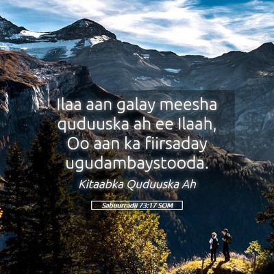 Picture 05 - Sabuurradii 73:17 SOM - Ilaa aan galay meesha quduuska ah ee Ilaah, Oo - Bible Verse Picture