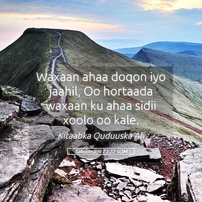 Picture 05 - Sabuurradii 73:22 SOM - Waxaan ahaa doqon iyo jaahil, Oo hortaada waxaan - Bible Verse Picture