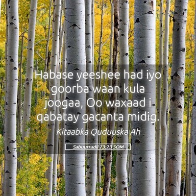 Picture 05 - Sabuurradii 73:23 SOM - Habase yeeshee had iyo goorba waan kula joogaa, - Bible Verse Picture