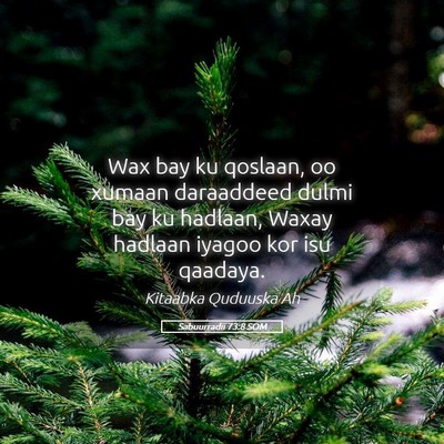 Picture 05 - Sabuurradii 73:8 SOM - Wax bay ku qoslaan, oo xumaan daraaddeed dulmi - Bible Verse Picture