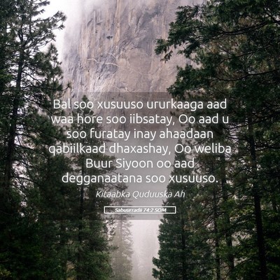 Picture 05 - Sabuurradii 74:2 SOM - Bal soo xusuuso ururkaaga aad waa hore soo - Bible Verse Picture