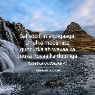 Picture 05 - Sabuurradii 74:20 SOM - Bal soo fiiri axdigaaga, Dhulka meelihiisa - Bible Verse Picture