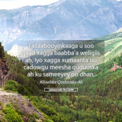 Picture 05 - Sabuurradii 74:3 SOM - Tallaabooyinkaaga u soo qaad xagga baabba'a - Bible Verse Picture