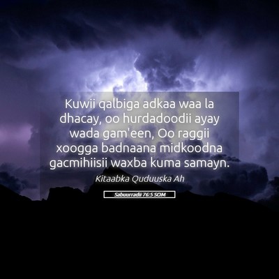 Picture 05 - Sabuurradii 76:5 SOM - Kuwii qalbiga adkaa waa la dhacay, oo hurdadoodii - Bible Verse Picture