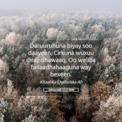 Picture 05 - Sabuurradii 77:17 SOM - Daruuruhuna biyay soo daayeen, Cirkuna wuxuu - Bible Verse Picture