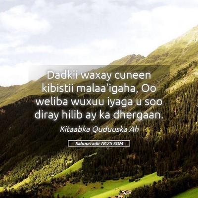 Picture 05 - Sabuurradii 78:25 SOM - Dadkii waxay cuneen kibistii malaa'igaha, Oo - Bible Verse Picture