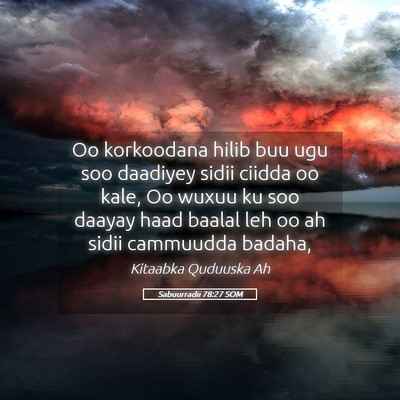 Picture 05 - Sabuurradii 78:27 SOM - Oo korkoodana hilib buu ugu soo daadiyey sidii - Bible Verse Picture