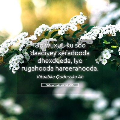 Picture 05 - Sabuurradii 78:28 SOM - Oo wuxuu ku soo daadiyey xeradooda dhexdeeda, Iyo - Bible Verse Picture