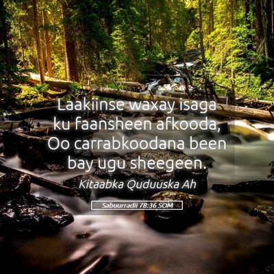 Picture 05 - Sabuurradii 78:36 SOM - Laakiinse waxay isaga ku faansheen afkooda, Oo - Bible Verse Picture