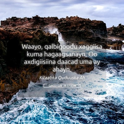 Picture 05 - Sabuurradii 78:37 SOM - Waayo, qalbigoodu xaggiisa kuma hagaagsanayn, Oo - Bible Verse Picture