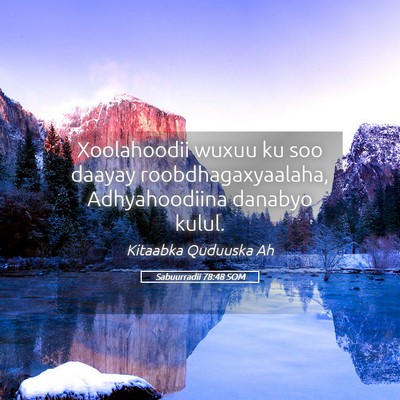 Picture 05 - Sabuurradii 78:48 SOM - Xoolahoodii wuxuu ku soo daayay - Bible Verse Picture