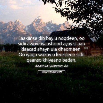 Picture 05 - Sabuurradii 78:57 SOM - Laakiinse dib bay u noqdeen, oo sidii - Bible Verse Picture