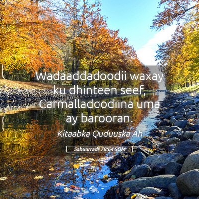 Picture 05 - Sabuurradii 78:64 SOM - Wadaaddadoodii waxay ku dhinteen seef, - Bible Verse Picture