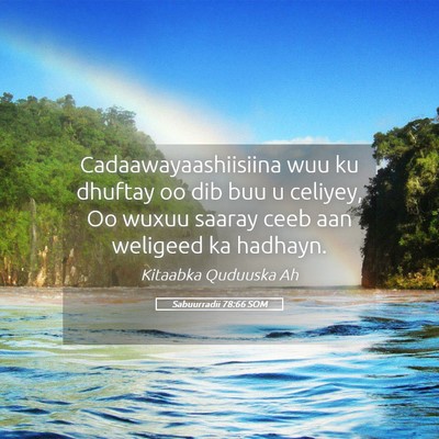 Picture 05 - Sabuurradii 78:66 SOM - Cadaawayaashiisiina wuu ku dhuftay oo dib buu u - Bible Verse Picture