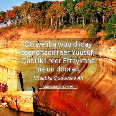 Picture 05 - Sabuurradii 78:67 SOM - Oo weliba wuu diiday teendhadii reer Yuusuf, - Bible Verse Picture