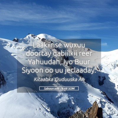 Picture 05 - Sabuurradii 78:68 SOM - Laakiinse wuxuu doortay qabiilkii reer Yahuudah, - Bible Verse Picture