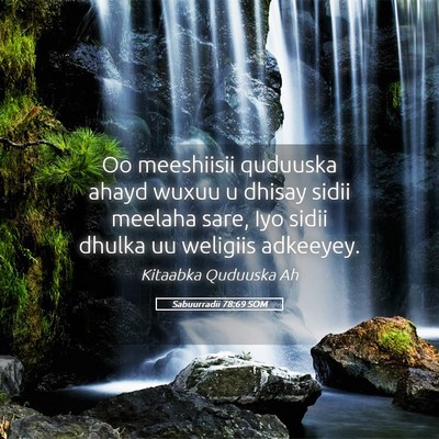 Picture 05 - Sabuurradii 78:69 SOM - Oo meeshiisii quduuska ahayd wuxuu u dhisay sidii - Bible Verse Picture