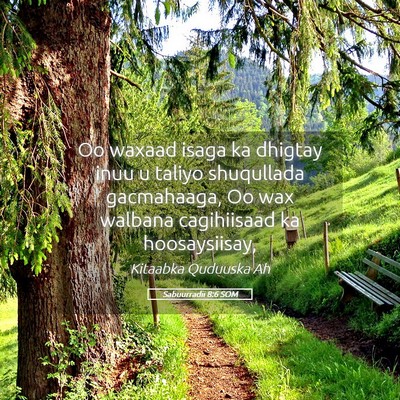 Picture 05 - Sabuurradii 8:6 SOM - Oo waxaad isaga ka dhigtay inuu u taliyo - Bible Verse Picture
