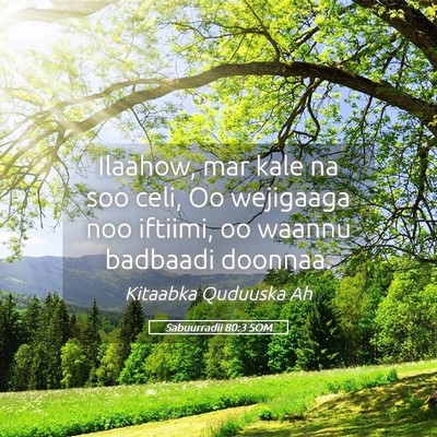 Picture 05 - Sabuurradii 80:3 SOM - Ilaahow, mar kale na soo celi, Oo wejigaaga noo - Bible Verse Picture