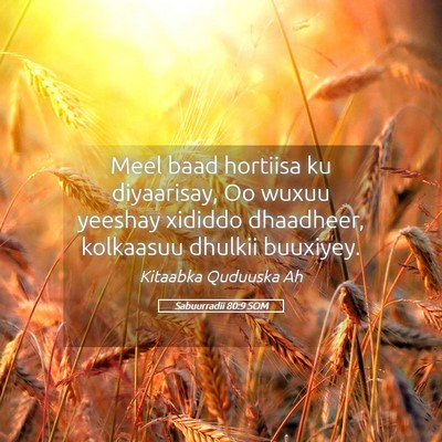 Picture 05 - Sabuurradii 80:9 SOM - Meel baad hortiisa ku diyaarisay, Oo wuxuu - Bible Verse Picture